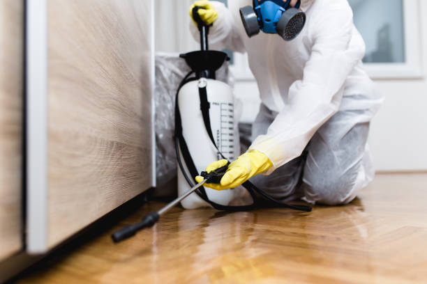 Best Exterminator Services  in Albion, NY