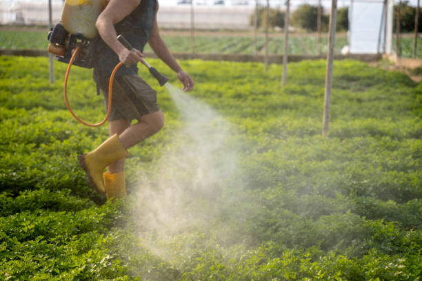 Best Exterminator Services  in Albion, NY