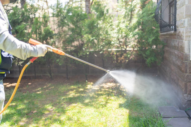 Best Pest Prevention Services  in Albion, NY