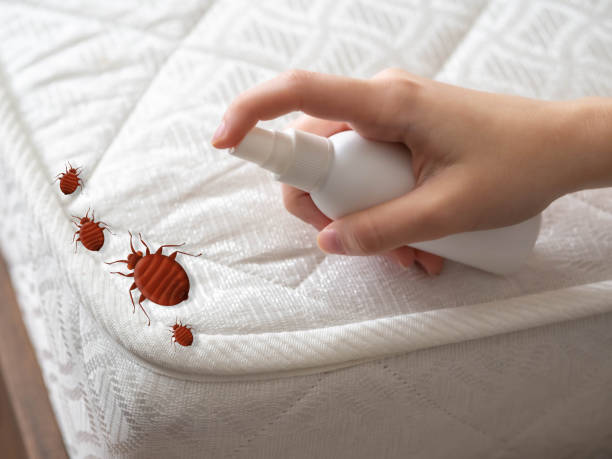 Best Residential Pest Control  in Albion, NY