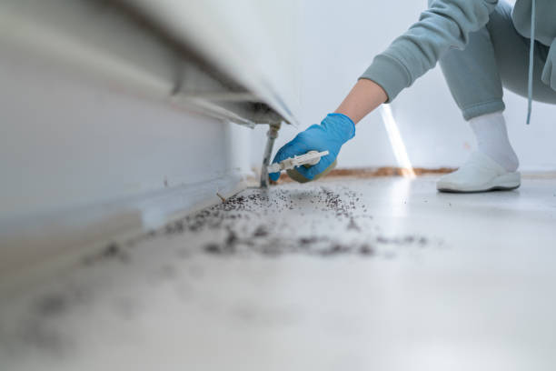 Best Best Pest Control Companies  in Albion, NY